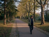 An adult walking a quiet tree-lined path in late light