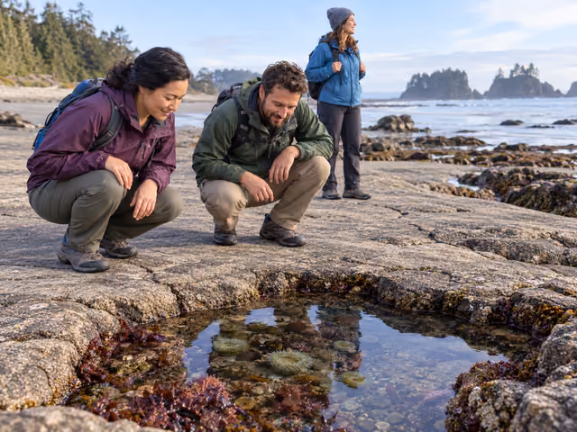 Three adults in outdoor shoes and jackets observing a shallow rocky tide pool without touching its inhabitants.