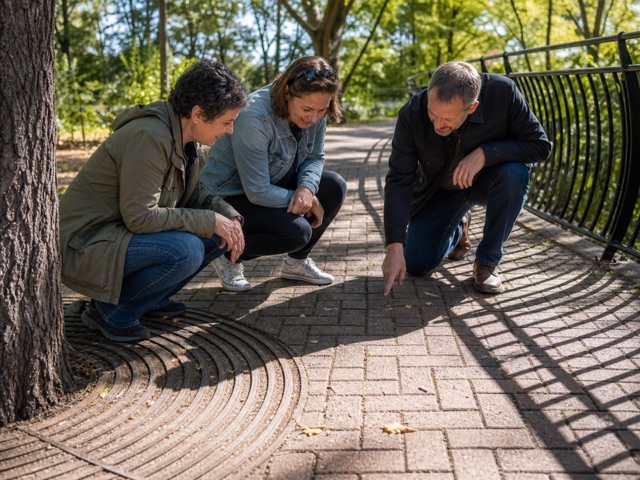 Park Pattern Hunt activity preview